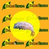 SIRFIcontrol 500 larvas (Larvas de Sphaerophoria rueppellii)