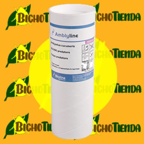 AMBLYLINE - 50.000 Ind. BOTE (Amblyseius cucumeris)