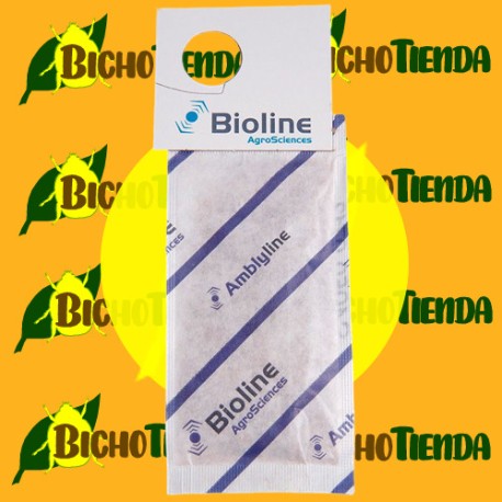 AMBLYLINE - 200.000 Ind. CAJA 400 mini-sobres (Amblyseius cucumeris)