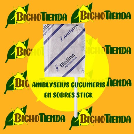AMBLYLINE - 125.000 Ind. CAJA 500 SOBRES STICK (Amblyseius cucumeris)