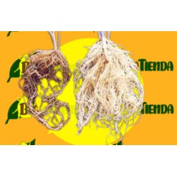 AGRARES NematoSTOP (problemas de nemátodos)