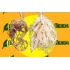 AGRARES NematoSTOP (problemas de nemátodos)
