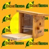Nido para pájaros de madera maciza con ventana lateral