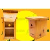 Nido para aves insectívoras de madera maciza, nidal