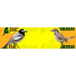 Nido ECO para aves insectívoras de madera maciza, nidal
