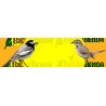 Nido ECO para aves insectívoras de madera maciza, nidal