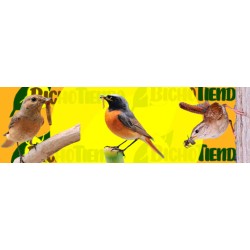Nidal ICONA aves insectívoras, nido Econex