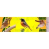 Nidal ICONA aves insectívoras, nido Econex