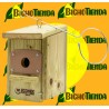 Nido ICONA para aves insectívoras