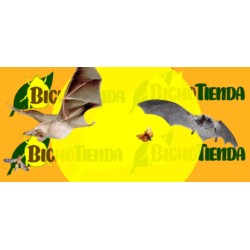 ECONEX NIDO PARA MURCIÉLAGOS
