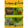 ciclo de vida de la mariquita
