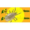 ANDERLINE, caja 100 sobres Gemini 25,000 AMBLYSEIUS ANDERSONI (contra araña roja y similares)