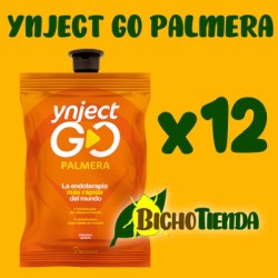 Pack 12 Ynject Go (palmeras)
