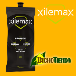 Ynject FORESTA quercus max (encinas, robles, alcornoque, carrasca...)