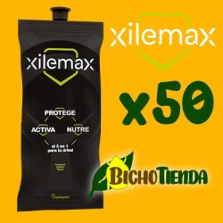 Pack 50 Ynject FORESTA quercus max (encinas, robles, alcornoques...)