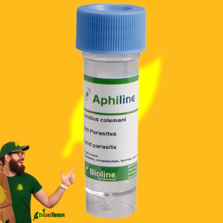 APHIDIUS COLEMANI 500 ind. vial - Aphiline (contra pulgones) APHIDIUS COLEMANI 500 ind. vial - Aphiline (contra pulgones)