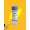 ERETMOCERUS EREMICUS 3000 ind. bote - Eretline