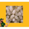 10gr Huevos de Ephestia kuehniella, Bugfood E
