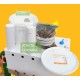 Atheta coriaria STAPHYLINE – Pack en cubo de cría (depredador generalista en suelo)