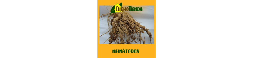 Nemátodos