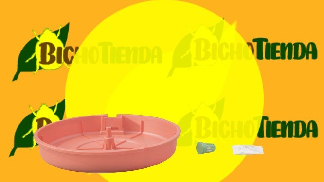 Trampa TUTASAN desmontada.