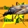 Anthocoris nemoralis: el depredador natural contra psilas y pulgones