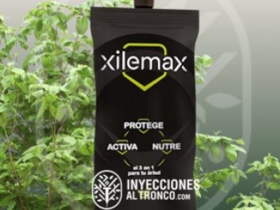 XileMax: El Poder de la Endoterapia para Proteger tus Árboles