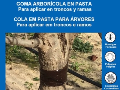 Pegafit y Pegafit-L: diferencias, usos y cómo elegir el mejor pegamento arboríco