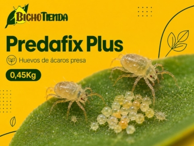 Predafix Plus: alimento pulverizable para reforzar ácaros depredadores